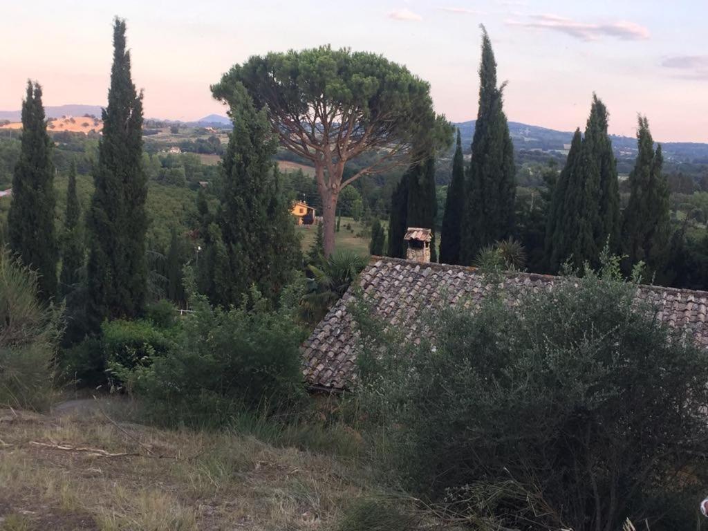 Casale Sant'Elia Bed & Breakfast Capranica Luaran gambar